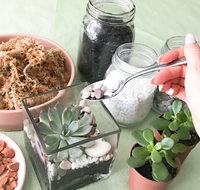 Online live streaming class Make Your Own Terrarium - ACT Tourism