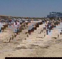 Perlubie Beach Sports Day - ACT Tourism