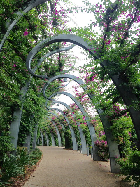 Photography Class / Tour Of Brisbane - ACT Tourism 0