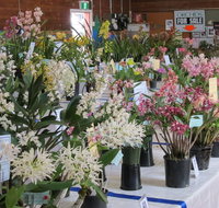 Sapphire Coast Orchid Club Spring Orchid Show - ACT Tourism