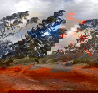 Sunraysia Safari Rally - ACT Tourism