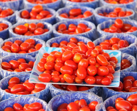 The Entrance Market - ACT Tourism 2