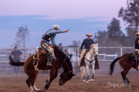 Walgett Charity Bushman's Carnival Rodeo And Campdraft - ACT Tourism 1