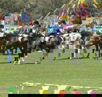 Wangaratta Show - ACT Tourism