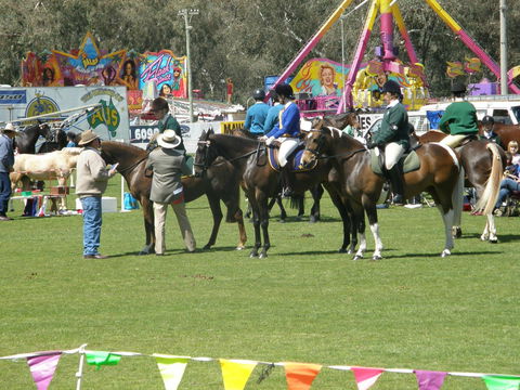 Wangaratta Show - ACT Tourism 0