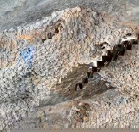 2020 Katherine Bird Festival - ACT Tourism