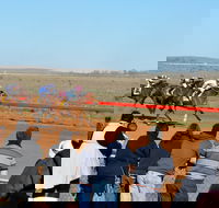 2020 Quorn Cup - ACT Tourism