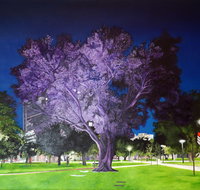 Adelaide Parklands Art Prize  Finalists Exhibition  Sale 2020
