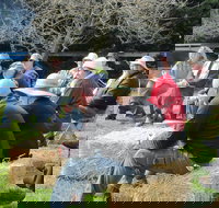 All Season Cold Climate Organic Vegetable Growing - ACT Tourism