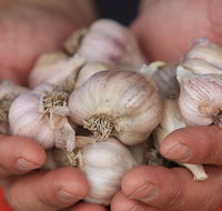 Armidale Farmers' Market - ACT Tourism