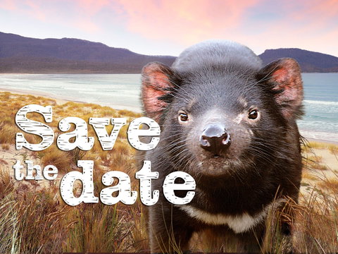 Art Group Longford - ACT Tourism 0