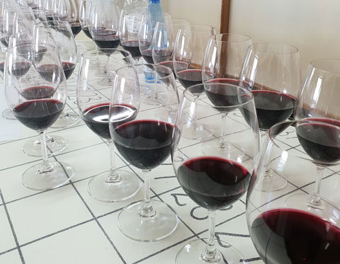 Australian Cool Climate Wine Show - ACT Tourism 1