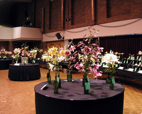 Burnie Lilium Show - ACT Tourism 0