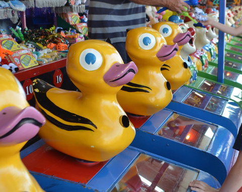 Casino Agricultural Show - ACT Tourism 0