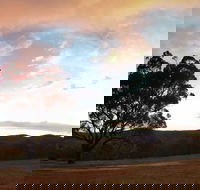 Christmas in July Jumpers and Jazz - ACT Tourism