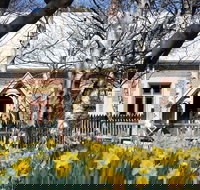 Daffodils at Rydal - ACT Tourism