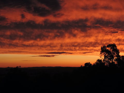 Father's Day At Cottontail Wines - ACT Tourism 0