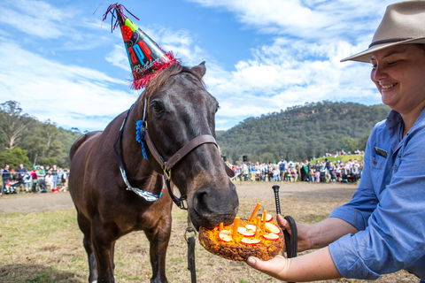 Horses Birthday Festival - ACT Tourism 0