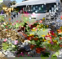Johns River Country Markets - ACT Tourism