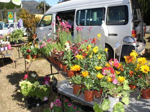 Johns River Country Markets - ACT Tourism 0