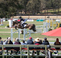 JumpingWillinga - ACT Tourism