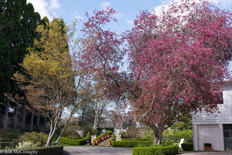 Leura Gardens Festival - Cancelled - ACT Tourism 0