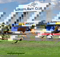 Moree Race Club TAB Race Day - ACT Tourism