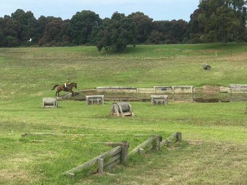 Mount Gambier And District Pony Club Horse Trials 2020 - ACT Tourism 0