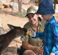 Mums and Cubs And Dads too - ACT Tourism
