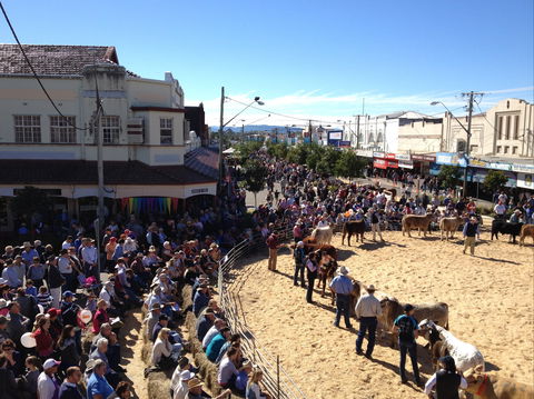 NCMC Casino Beef Week - ACT Tourism 0