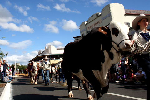 NCMC Casino Beef Week - ACT Tourism 1
