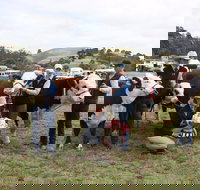 Noorat Show - ACT Tourism