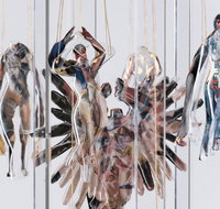 Pulse Perspectives - Virtual Exhibition