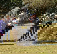 Sculpture for Clyde - Outdoor Exhibition - ACT Tourism