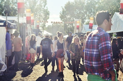 Splendour In The Grass - ACT Tourism 1