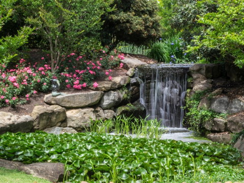 Spring Time At Hunter Valley Gardens - ACT Tourism 1