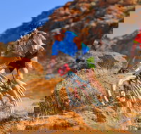 The Redback - ACT Tourism