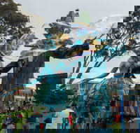 Tulip Festival Wynyard - ACT Tourism