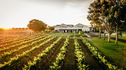 Aged Wine And Vintage Pies - ACT Tourism 2