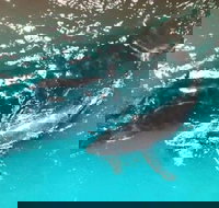 Ningaloo Lodge Exmouth - ACT Tourism