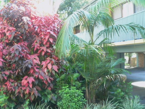 Port Stephens Motel - ACT Tourism 0