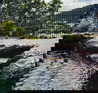 Colonial Palms Motor Inn - ACT Tourism