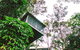 Daintree Ecolodge - thumb 3