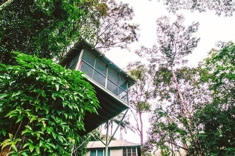 Daintree Ecolodge - ACT Tourism 3