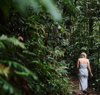 Daintree Ecolodge - ACT Tourism