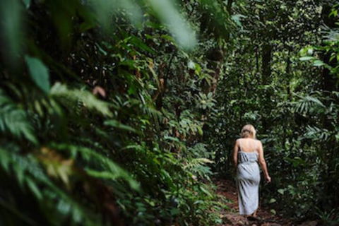 Daintree Ecolodge - ACT Tourism 0