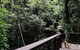 Daintree Ecolodge - thumb 5