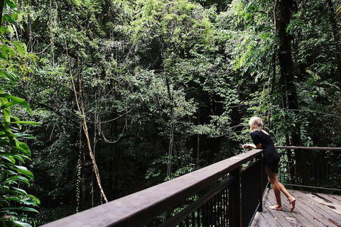 Daintree Ecolodge - ACT Tourism 5