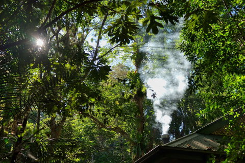 Narrows Escape Rainforest Retreat - ACT Tourism 5