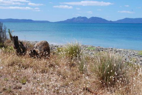 Schouten House - ACT Tourism 1